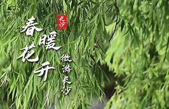 活动暖场|微游长沙